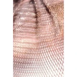 84.7 Pendant By Bocci -Promos Meubles Boutique Captura de pantalla 2022 01 03 074332 master