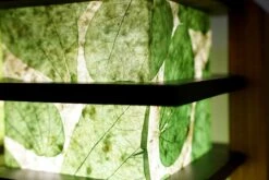 Set Of Sconces With Vintage Decoupage Rice Paper Walnut And Teak Wall Light -Promos Meubles Boutique DSC07897 master