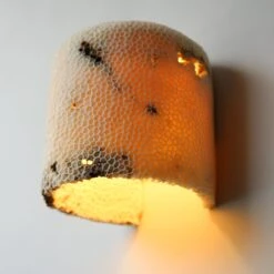 Fossil Coral Dome Flush Wall Sconce 'Medium', Handcrafted & Ethically Sourced -Promos Meubles Boutique Marovo 1D Dome FL L14 master