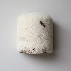 Fossil Coral Dome Flush Wall Sconce 'Medium', Handcrafted & Ethically Sourced -Promos Meubles Boutique Marovo 1D Dome FL L5 master