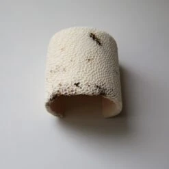 Fossil Coral Dome Flush Wall Sconce 'Medium', Handcrafted & Ethically Sourced -Promos Meubles Boutique Marovo 1D Dome FL L8 master