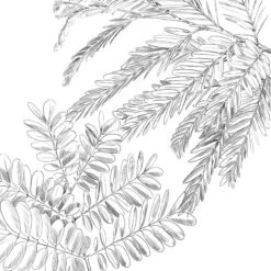 Parure De Lit Monstera Blanc Et Vert 240x220 Atmosphera 11 Parure De Lit Monstera Blanc Et Vert 240x220 Atmosphera -Promos Meubles Boutique parure de lit monstera blanc et vert 240x220 atmosphera 4