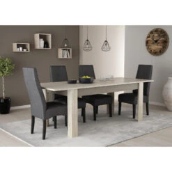Demeyere Table Avec Rallonge 170/230x90cm Cannes -Promos Meubles Boutique table avec rallonge 170 230x90cm cannes chene champagne beton clair 5